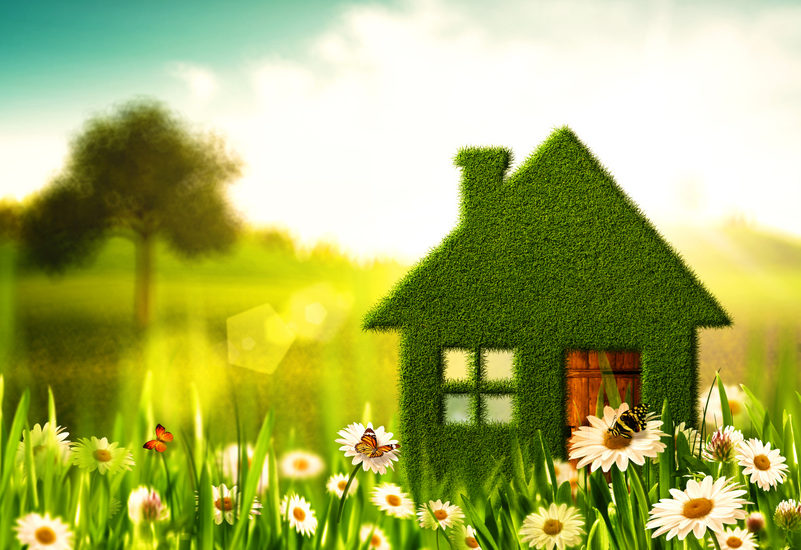 7 Key Elements And Characteristics Of Healthy Homes