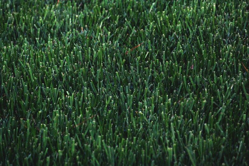 The Ultimate Guide to Proper Lawn Care and Maintenance